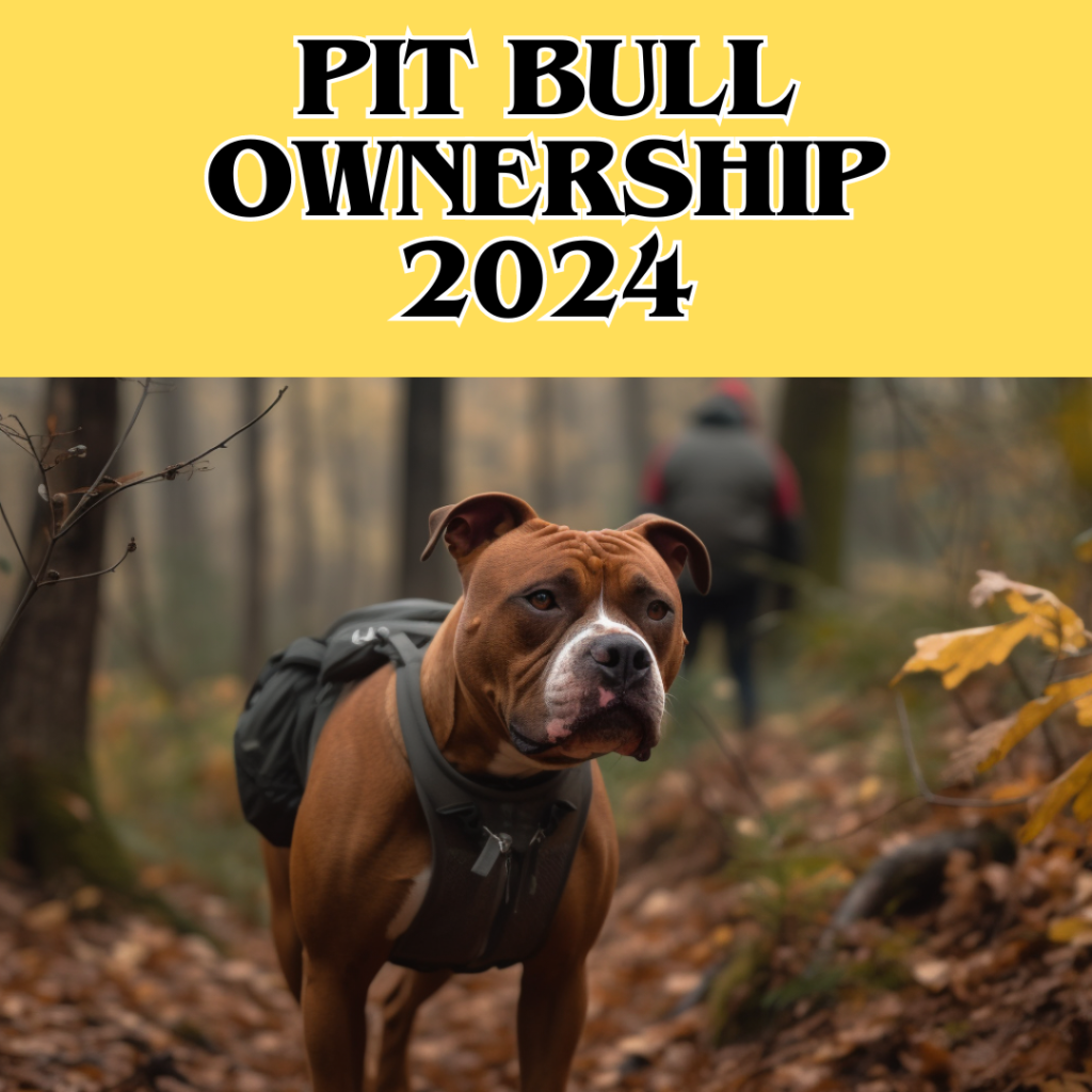 Pit Bull with owner hiking