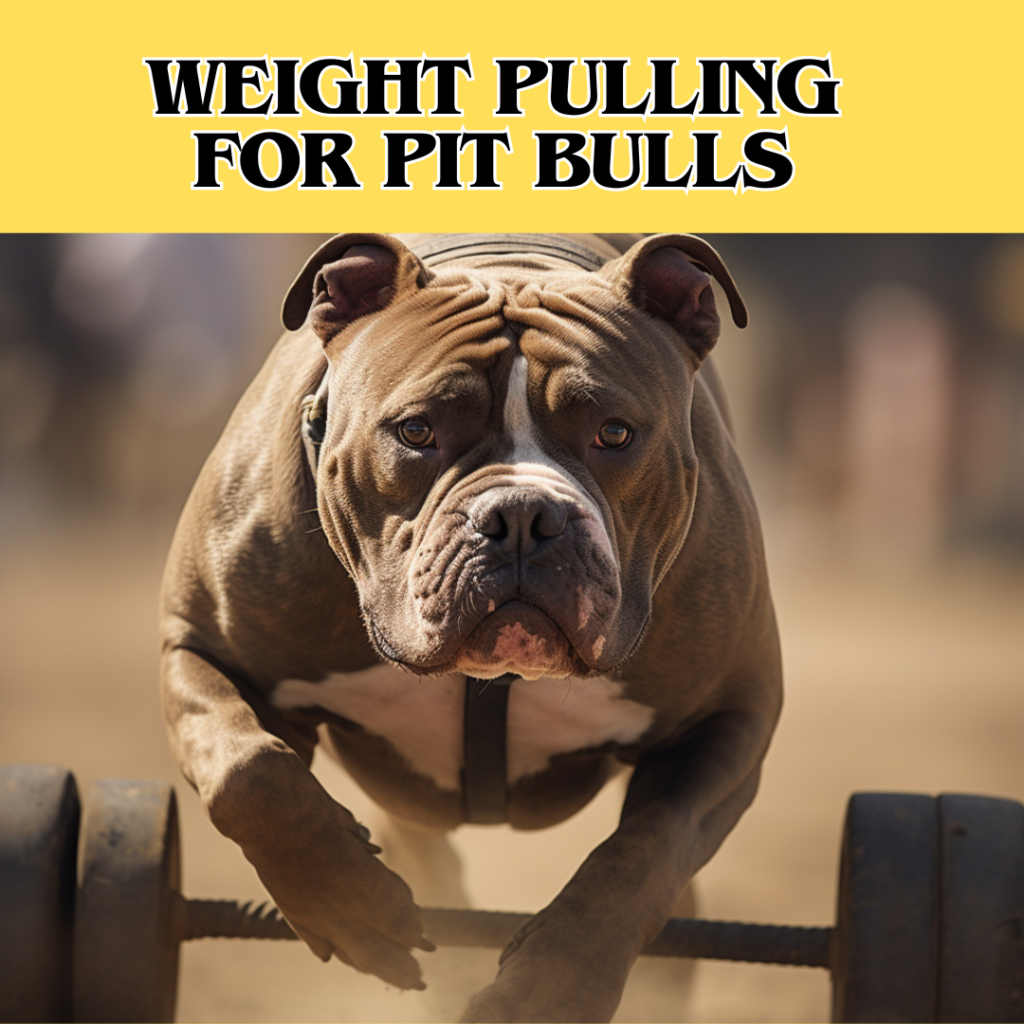 Dog pulling weights